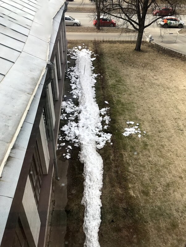 рептилия с оторванной лапой - zavitok *