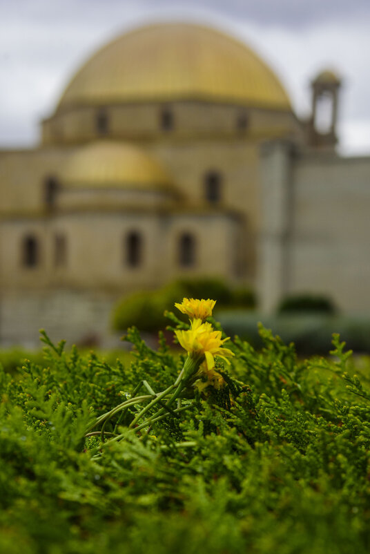 Рабат - Осень 