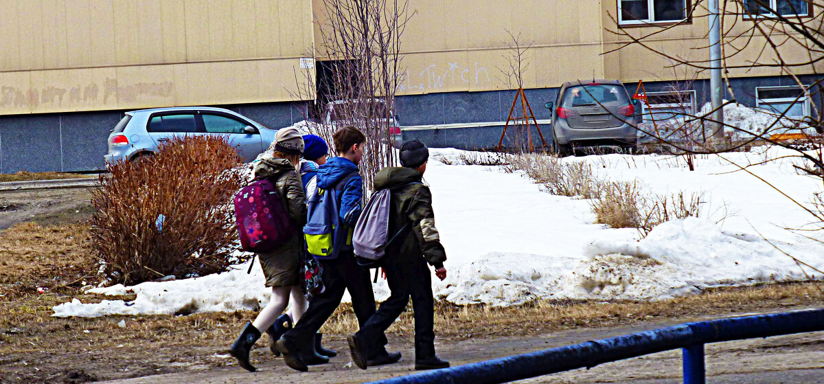 Апрель...Дружной стайкой- в школу! - Владимир 