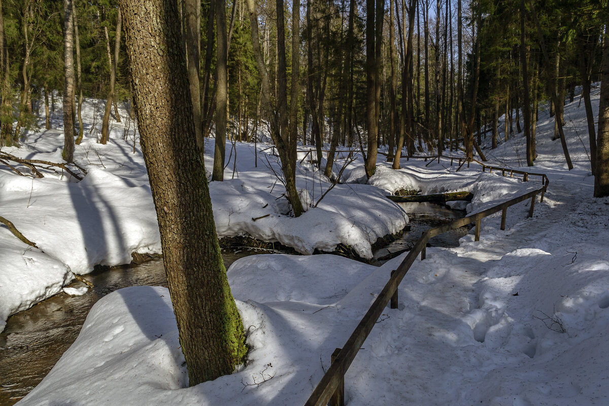 Вдоль ручья - Сергей Цветков