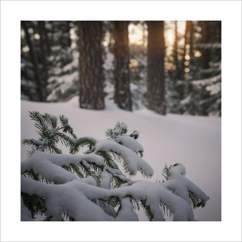 * - Александр Иванов