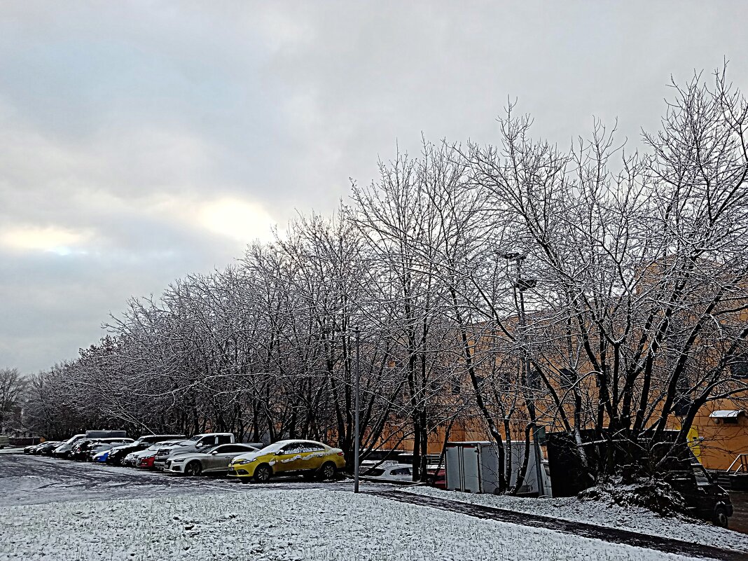 Вспомним зиму. - Владимир Драгунский