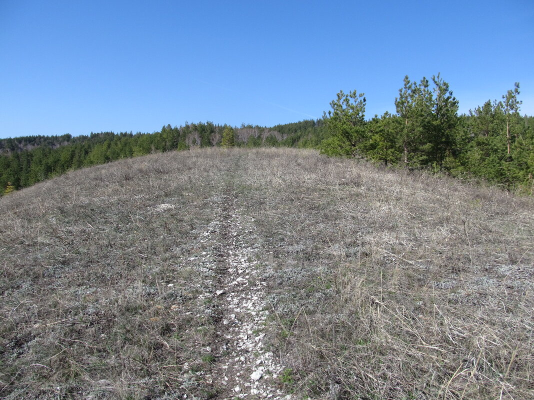 Хвалынские просторы - Елена Шаламова
