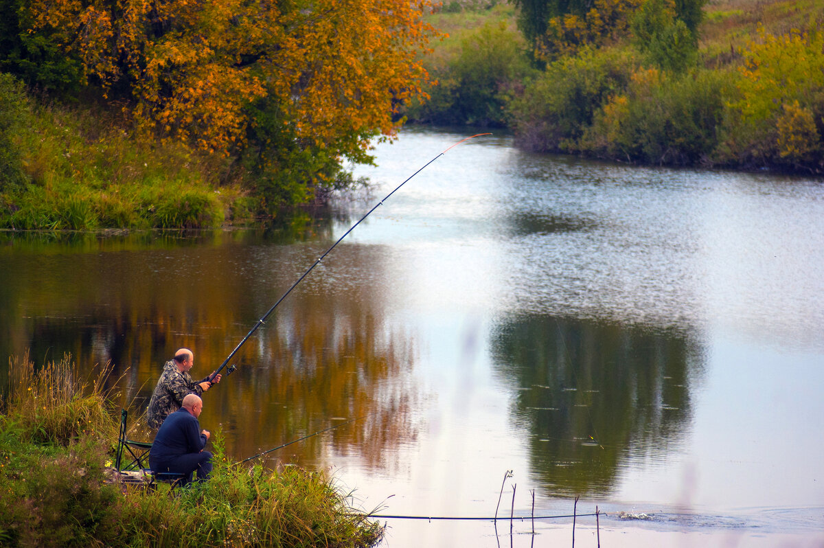 *   *   * - Уже не важно ...