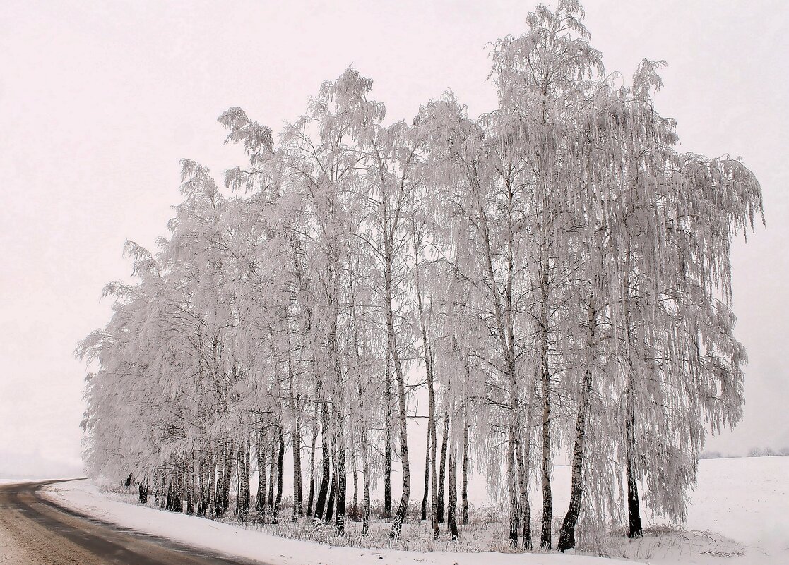 .. после ледяного дождя... - Александр Герасенков