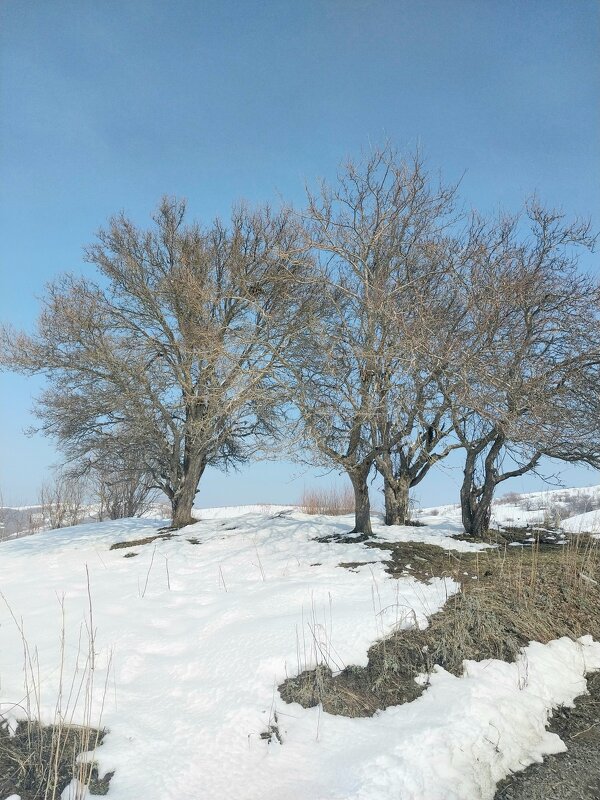 Ak Bulak. Talgar. - Murat Bukaev 