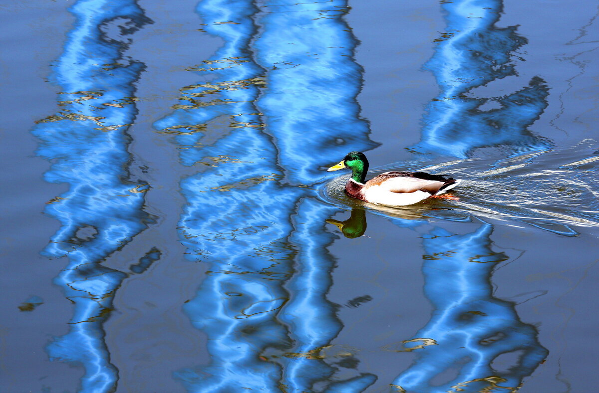 ГЭС 2 - Михаил Бибичков