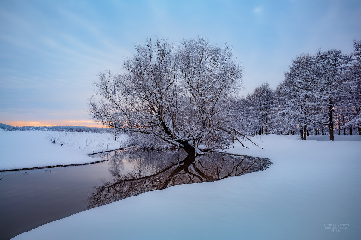 - - NikitinAleks - - NikitinAleks