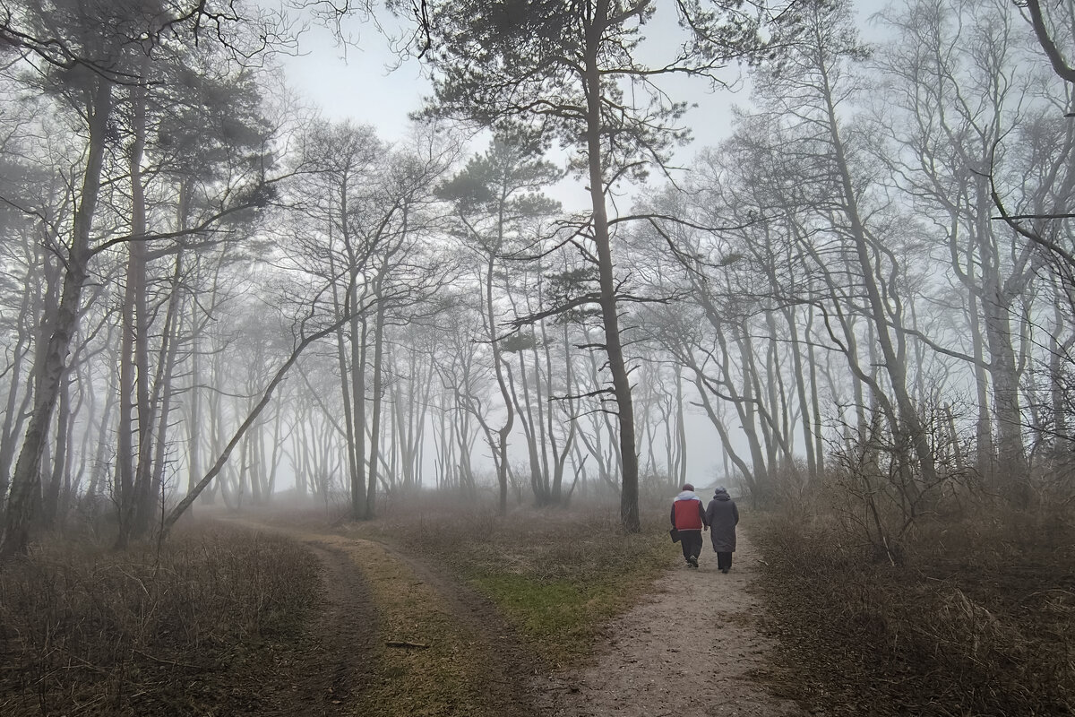 Уходим в туман - Sergey 