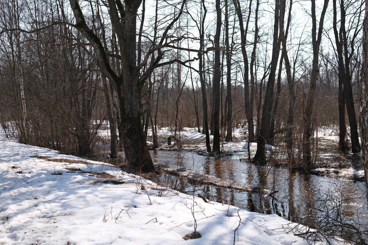 Журчат ручьи - Андрей Зайцев