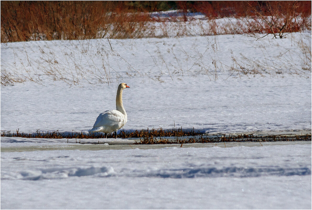Ожидание Любимой... - Валентин Котляров Ожидание Любимой... - Валентин Котляров