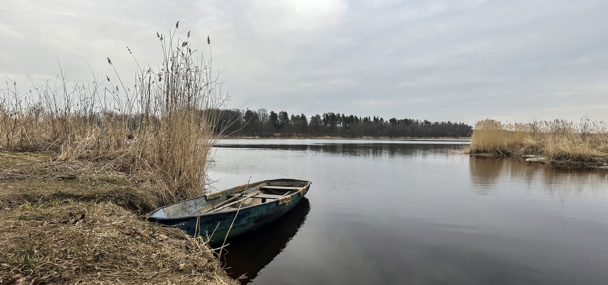 В ожидании сезона - Дмитрий Иванов В ожидании сезона - Дмитрий Иванов