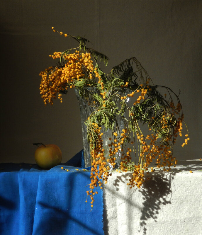 мимоза - Лера 