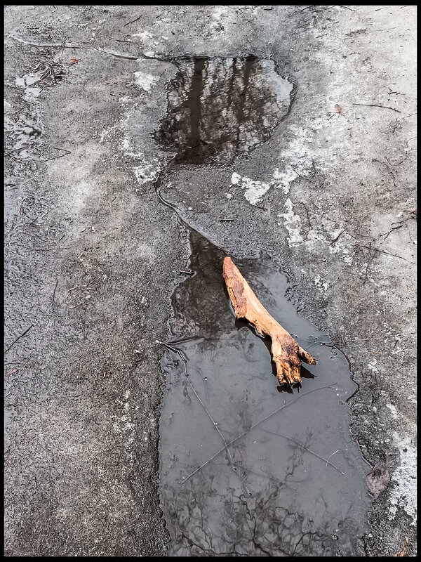 Новости Брянск - Sergei Vikulov Новости Брянск - Sergei Vikulov