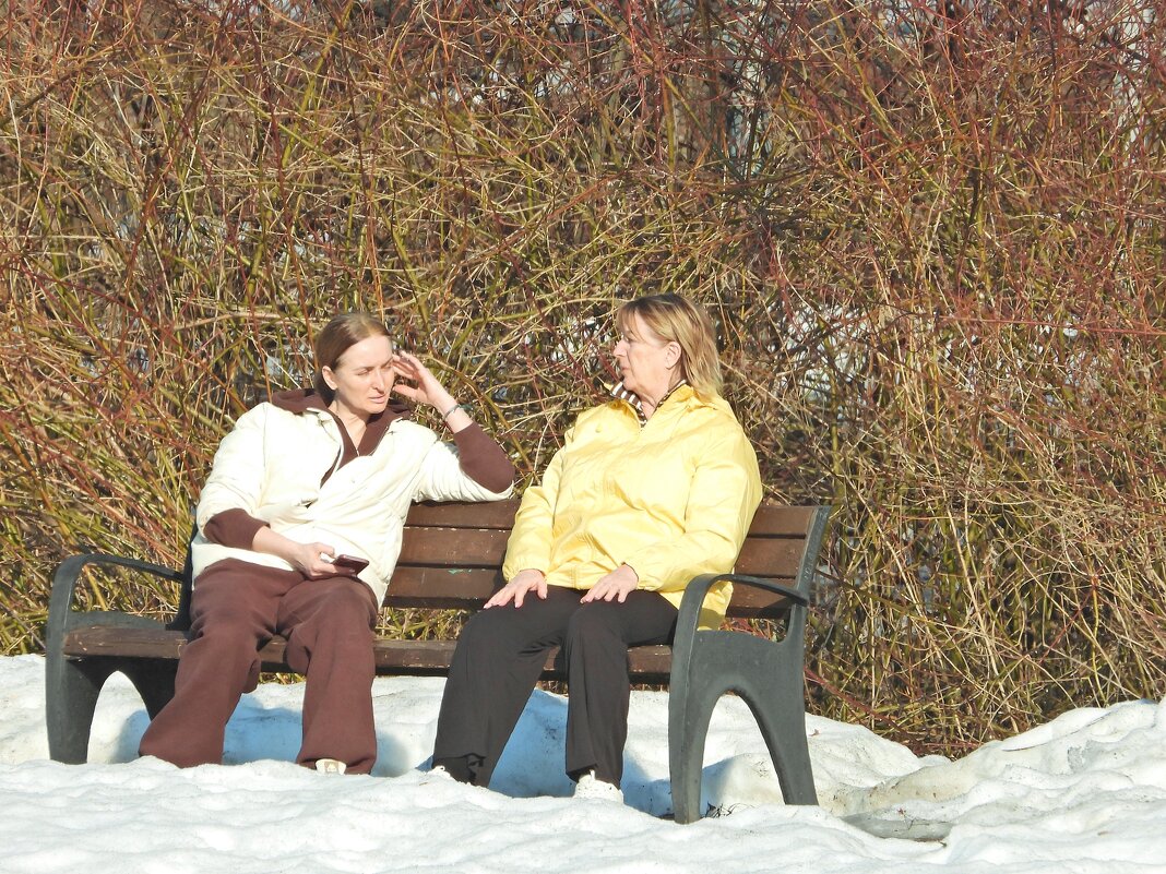 Весенние посиделки - Леонид leo Весенние посиделки - Леонид leo