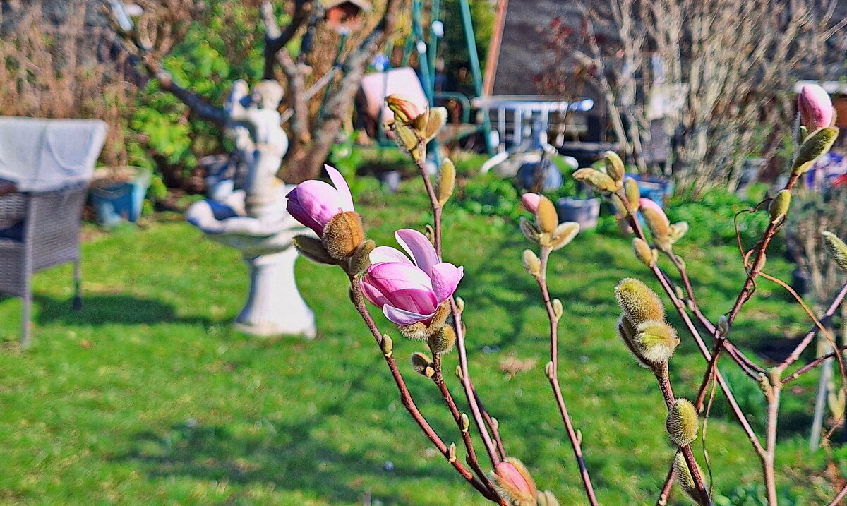 Весна, дача зовёт - Андрей K.