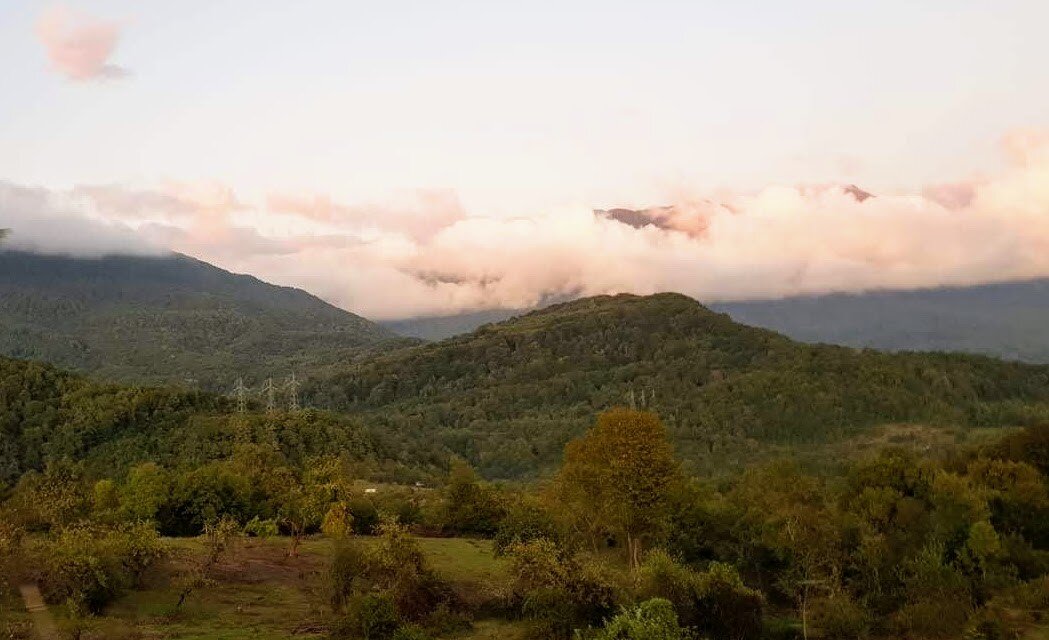 КРАСНАЯ ПОЛЯНА - Tata Wolf