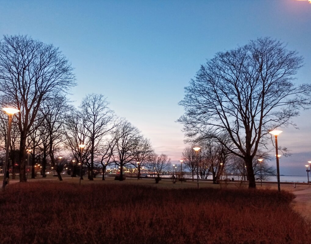 Вечер в парке Кадриорг - Veera V Вечер в парке Кадриорг - Veera V