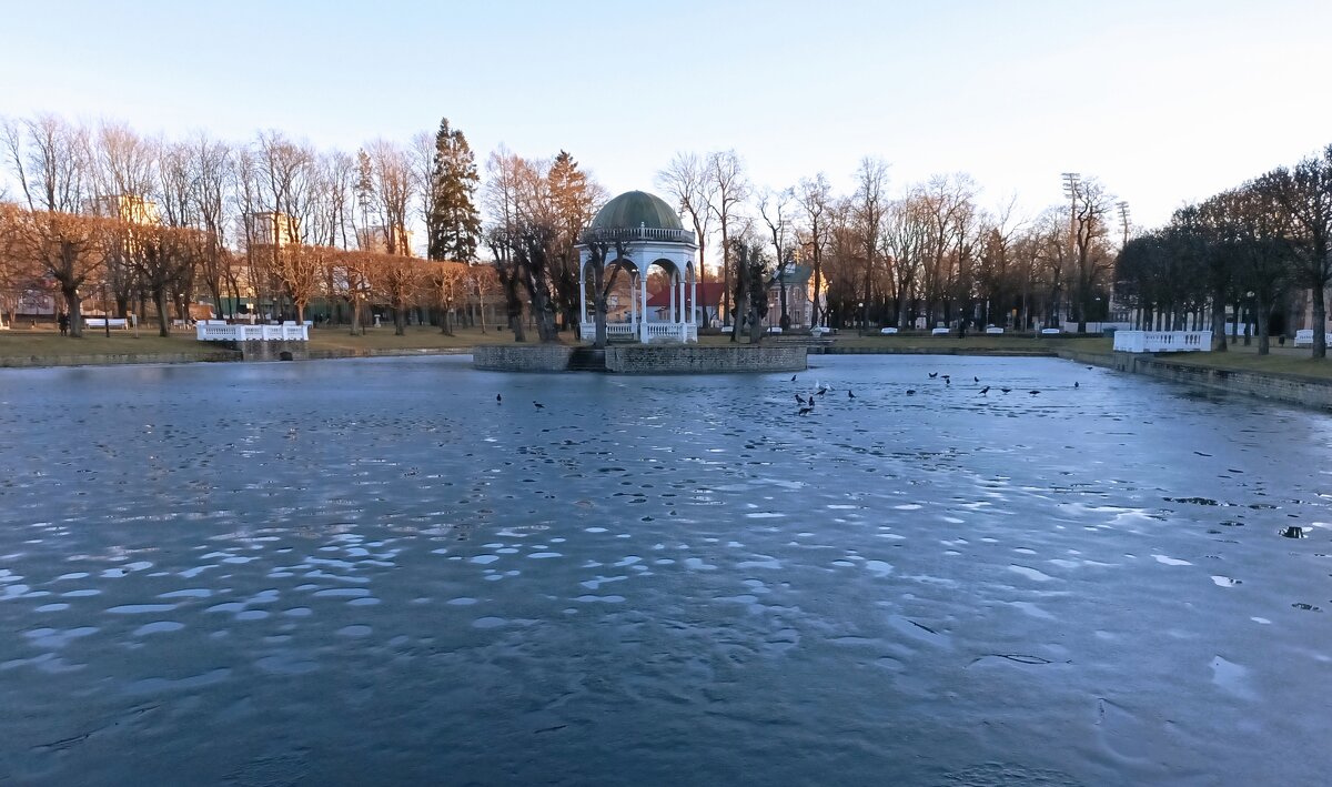 Лебединый пруд - Veera V Лебединый пруд - Veera V