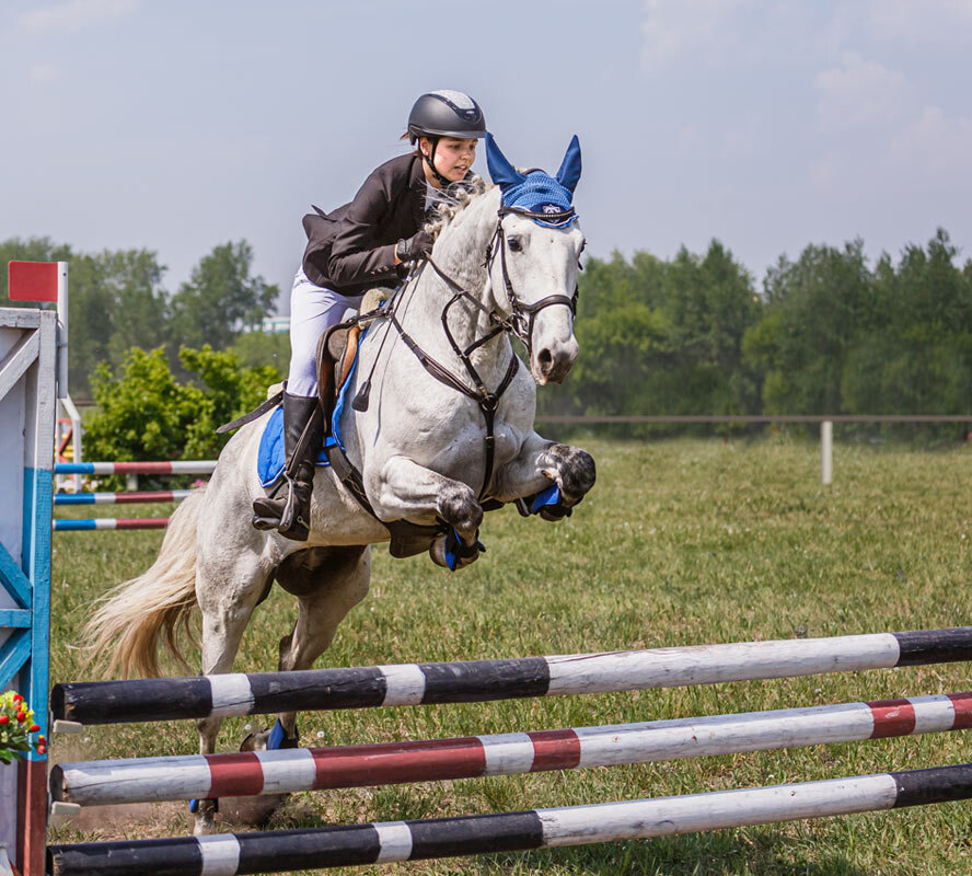 Конкур - SanSan 