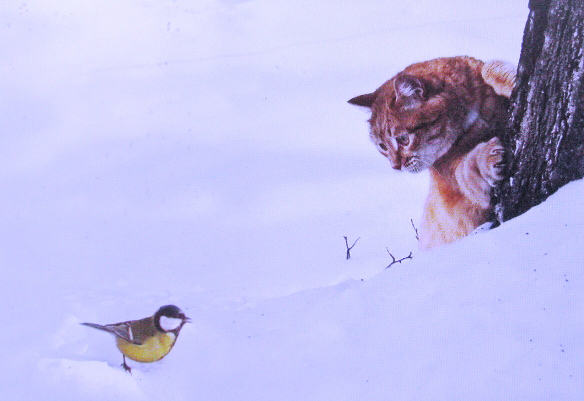 Охотник за птичками - Людмила Смородинская