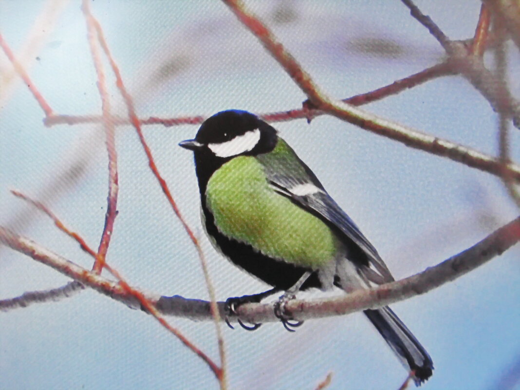 Ждёт угощения - Людмила Смородинская