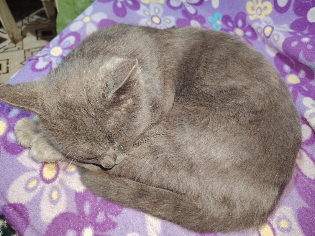 Дымок - Наталья (ShadeNataly) Мельник