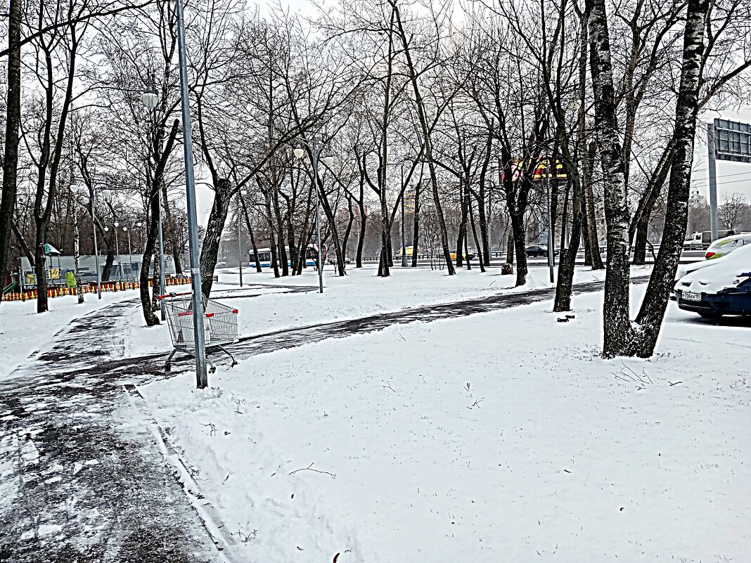 Зима. - Владимир Драгунский