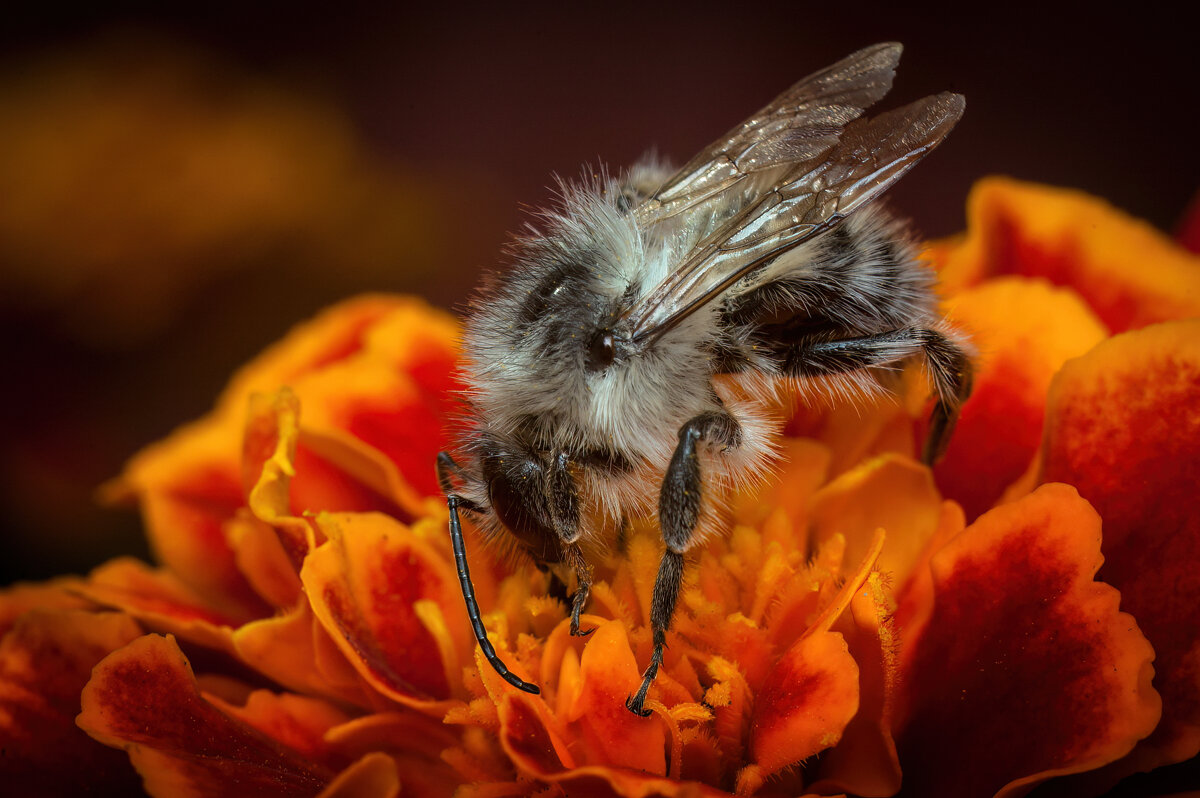 *   *   * - Уже не важно ...