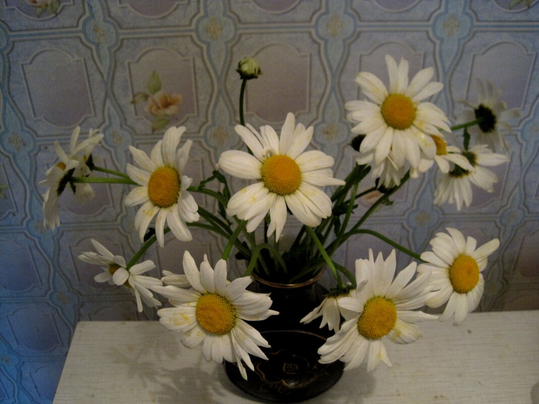 Ромашковый - Елена Семигина