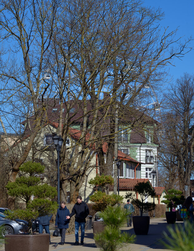 Зеленоградск. - Константин Белоногов