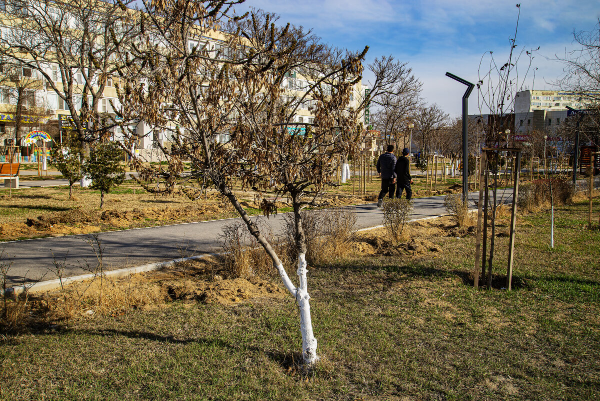 Весна - Анатолий Чикчирный