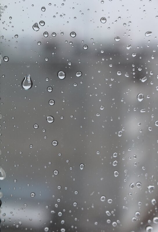 А за окном то дождь, то снег... - Ольга 