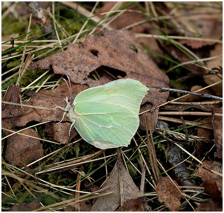 Первый вылет - Aleksandr Gal