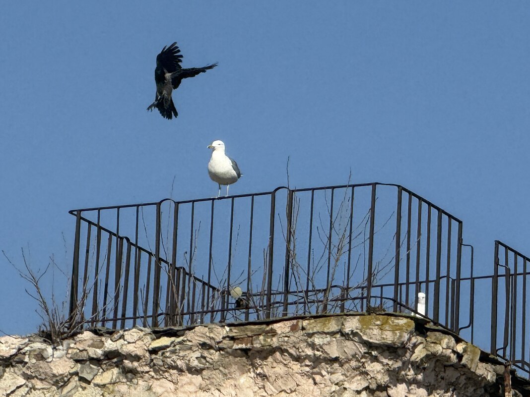 Темные силы нас злобно гнетут, - Сергей Б.