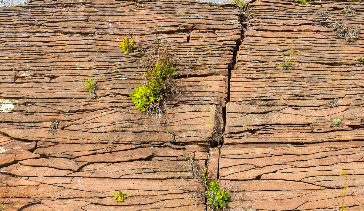Слоёный пирог природы - юрий Амосов