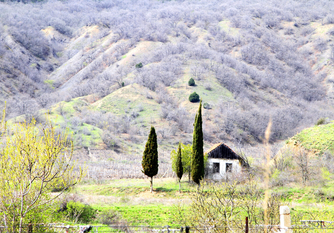 Домик виноградарей - Геннадий Валеев
