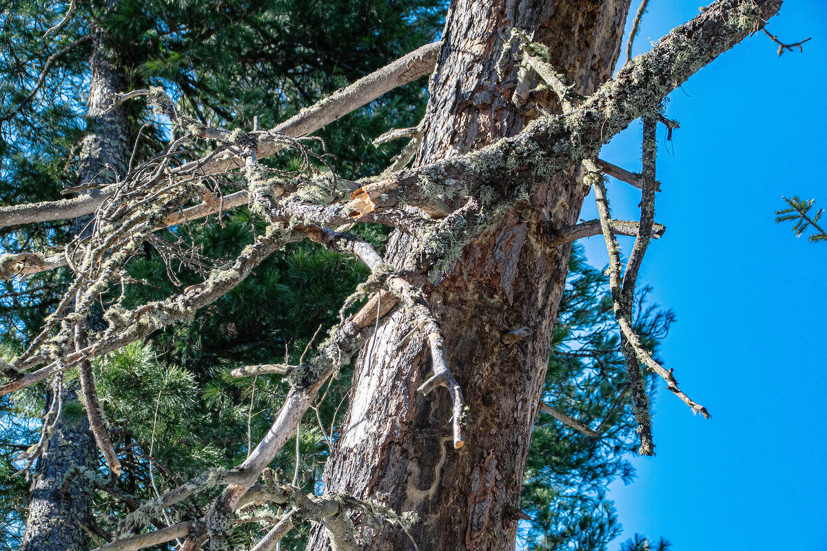 - - Владимир Мигонькин