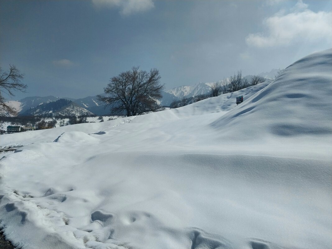 Ak Bulak. Talgar. - Murat Bukaev 