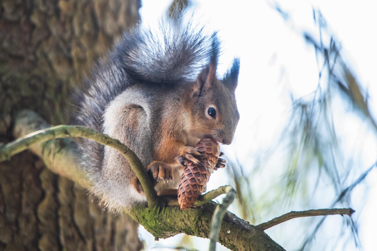Добыча. - Виктор Евстратов