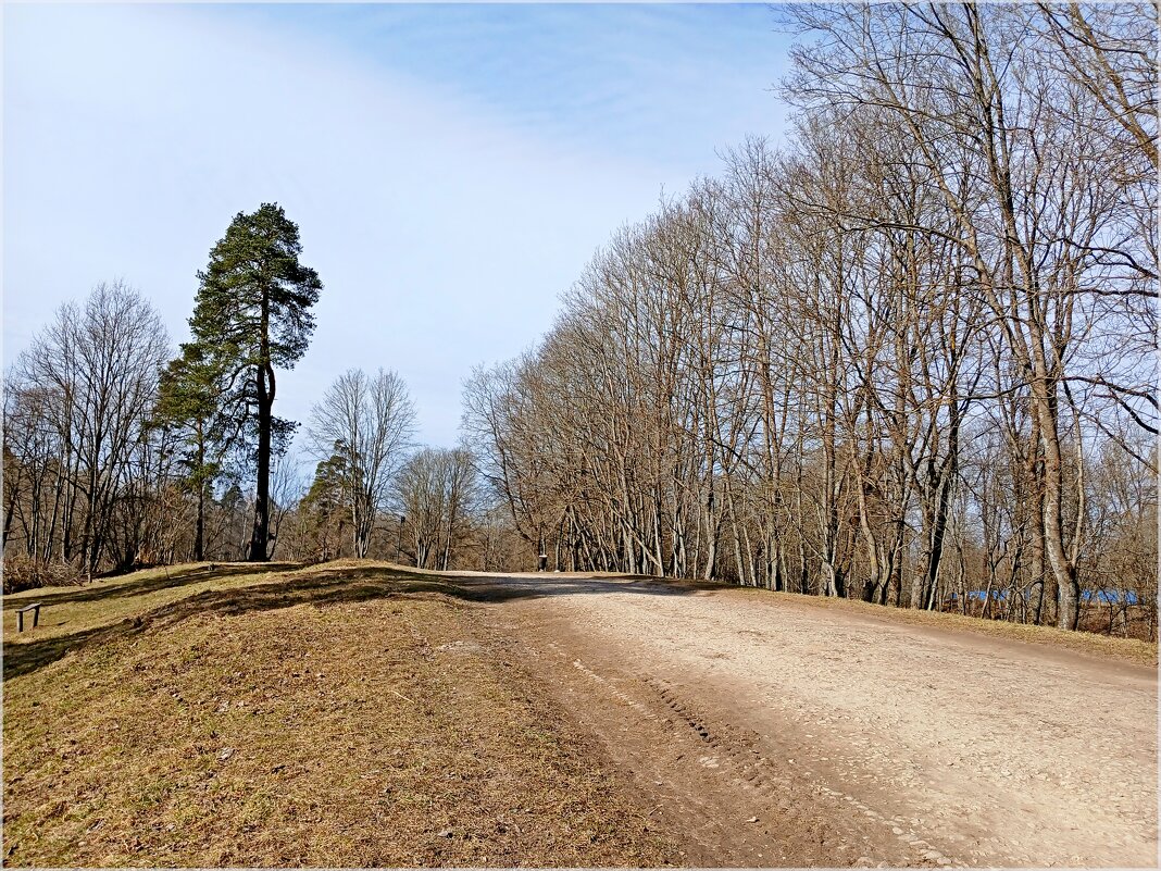 Гатчинские аллеи. - Лия ☼