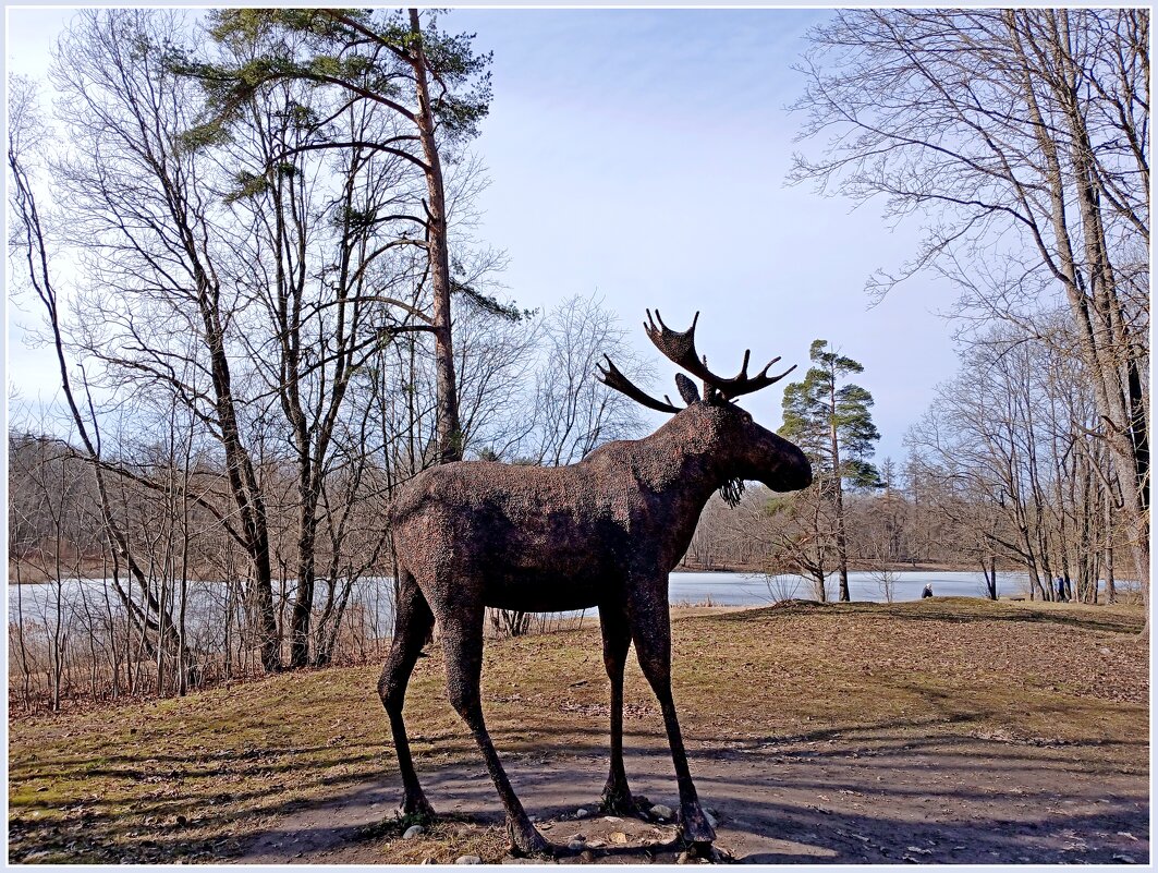 Гатчинский Лосилий ☺ - Лия ☼