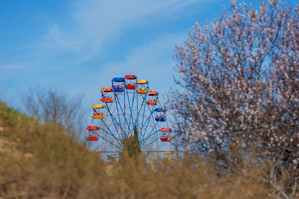 Весна - Светлана Тихонина