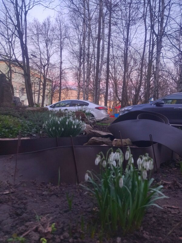 Рассвет - Сапсан 