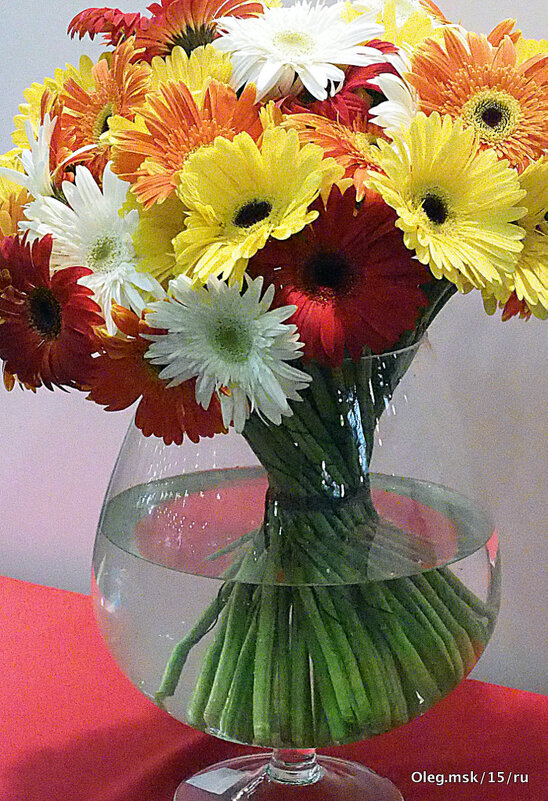 они на радость нам даны - Олег Лукьянов