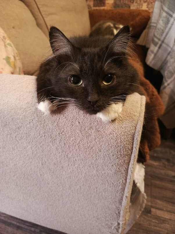 *** - Андрей Л. В.