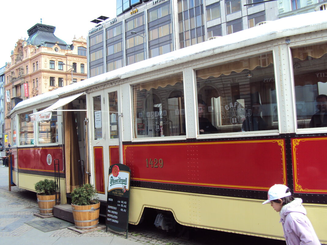 ПРАГА - Tata Wolf