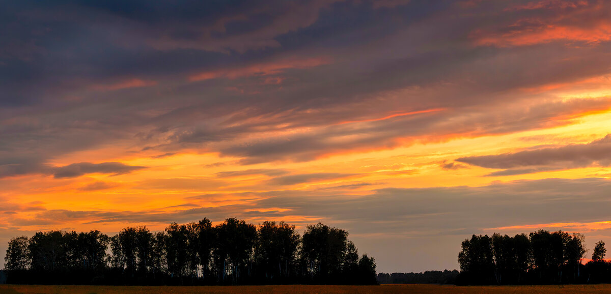 Где-то на Алтае. - Евгений Голубев