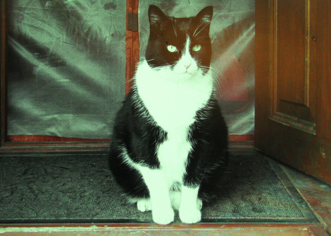 Ждёт меня - Людмила Смородинская