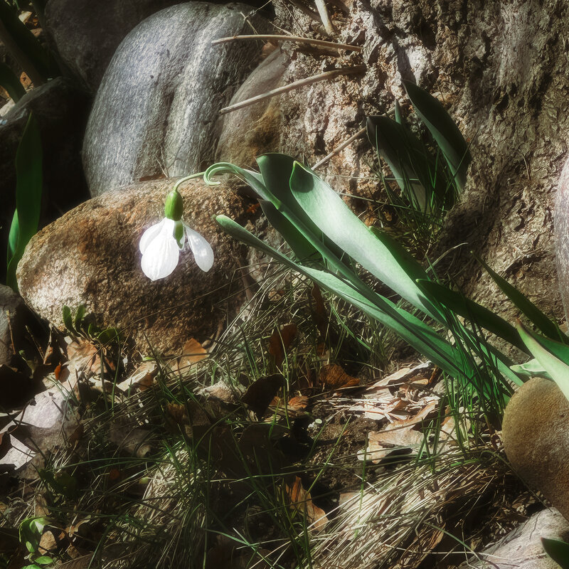 Мобильные зарисовки - Michel 